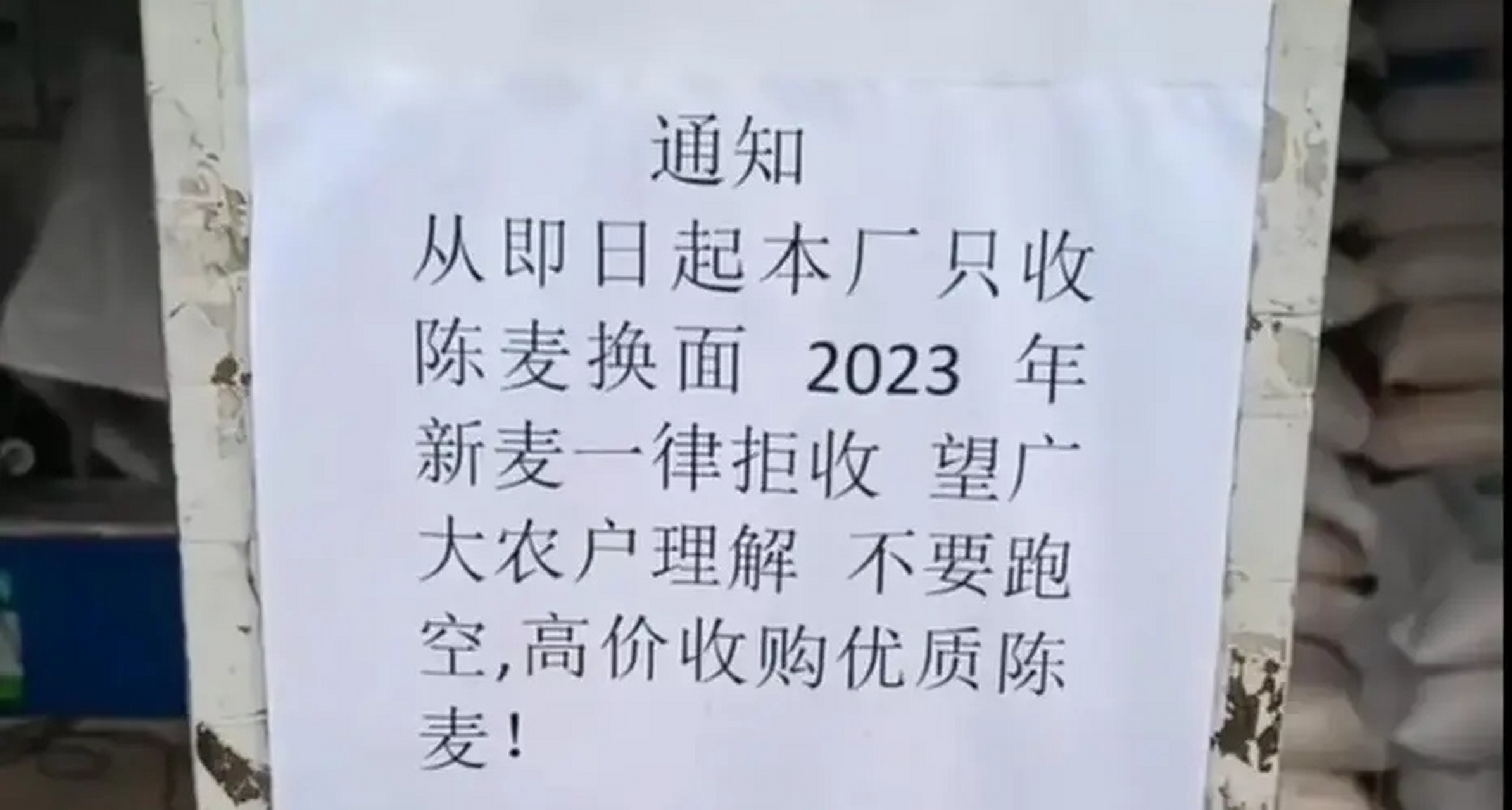 面粉厂不收今年新小麦?难道陈麦的价值更高吗?  #奇闻趣事# #生活