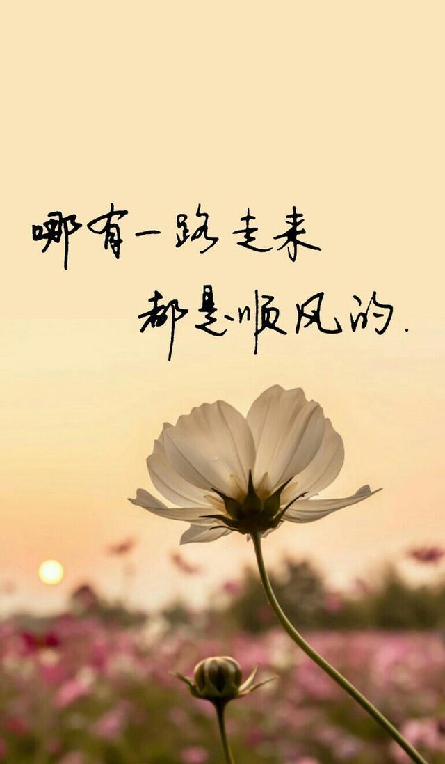 "女人嫁对了人,一辈子都不需要成熟;如果嫁错了人,再柔弱,都会变成女