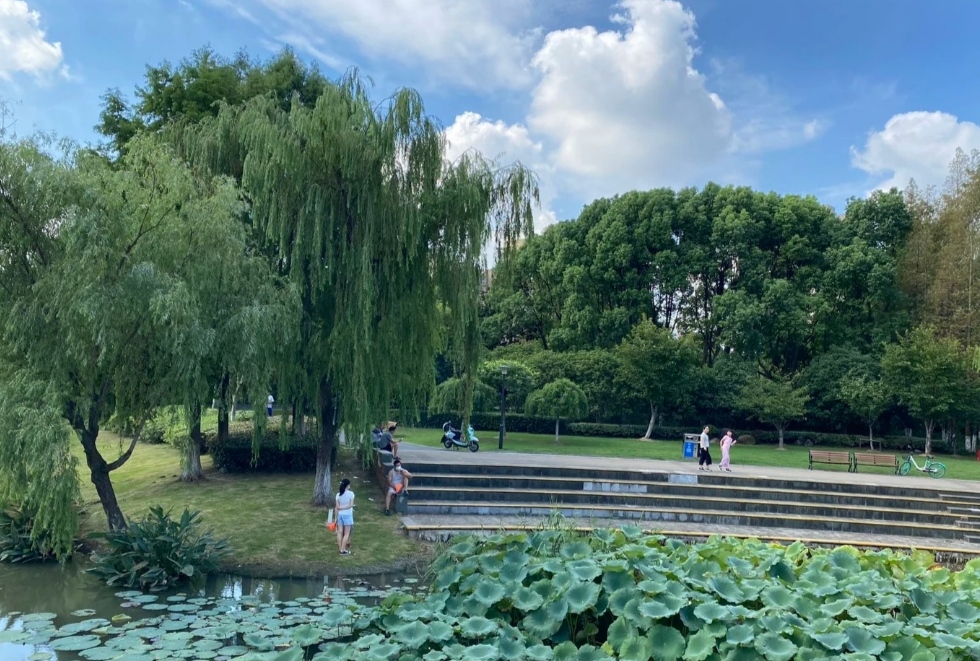 上海宝山菊盛公园形态万千的美景