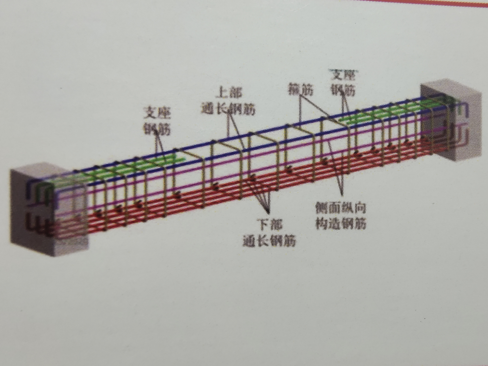 梁的钢筋构造示意图图片