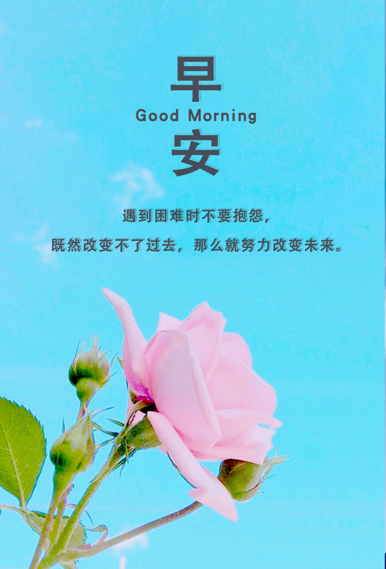 早安阳光正能量句子图片,一句话早安经典句子,挑一句发朋友圈!