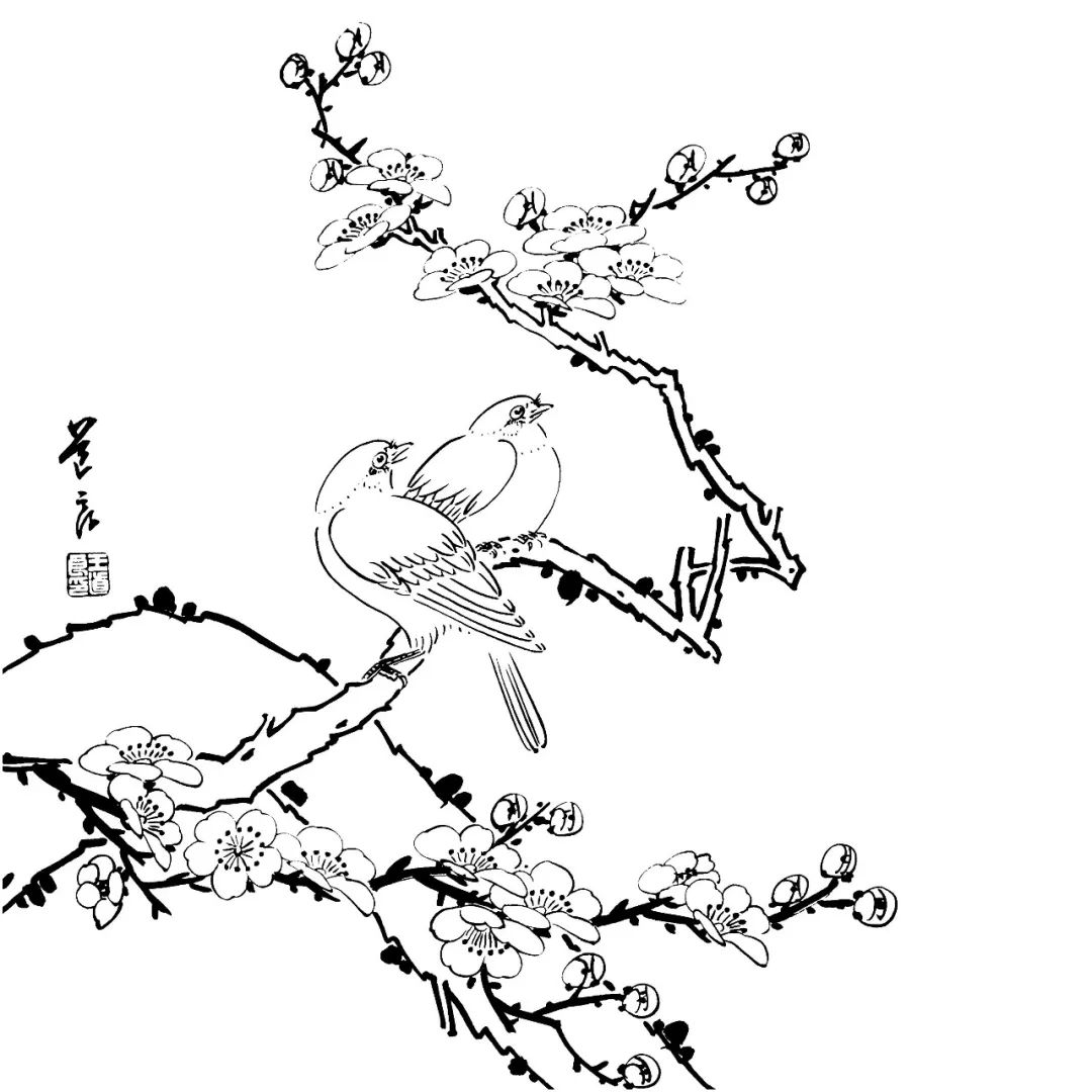工笔花鸟白描素材