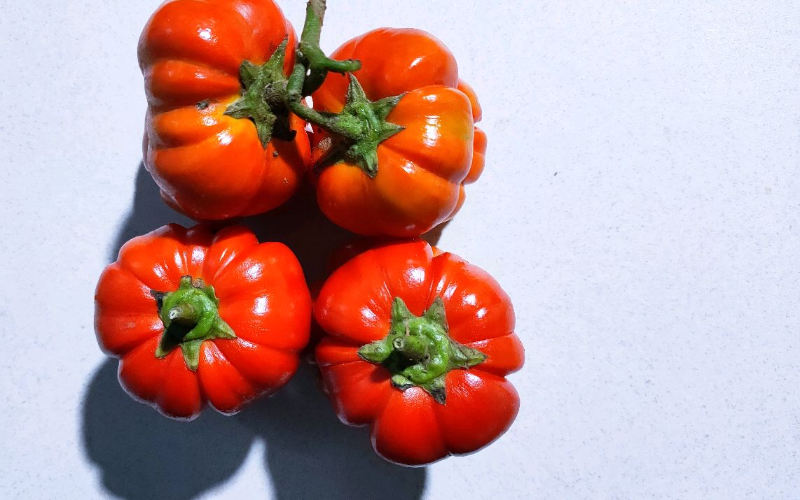 我爱吃有一股苦味的菜品,苦子果(苦茄子)是其中之一