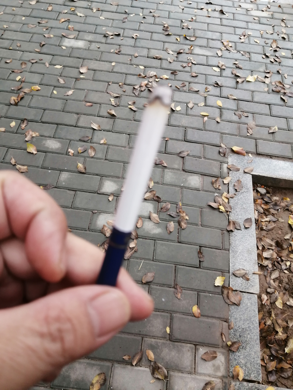 夜晚,站在阳台上,点燃一支烟,我抽了一半,风抽了一半 接下来,恐怖的事