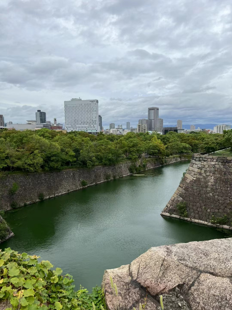 大阪城公园,这里是著名的赏樱94景点,园内种植了超过3000棵樱花树