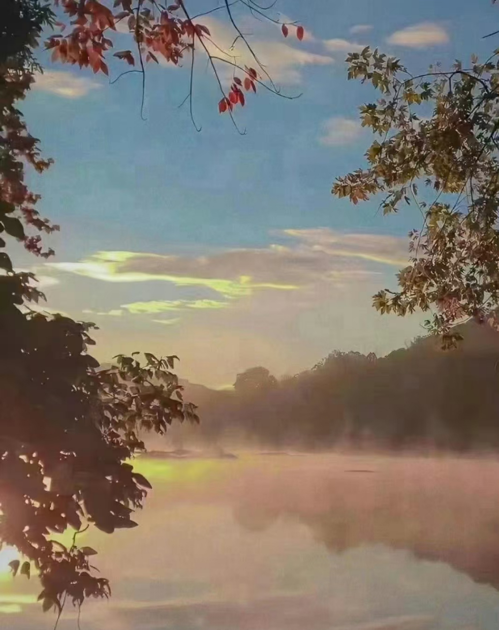 便是整个轮回缘份的花开,一场雨落.