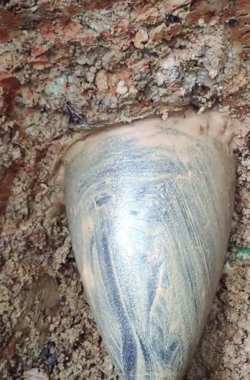 在小小的花园里面挖啊挖,我觉得我要发啊发!#趣图搞笑