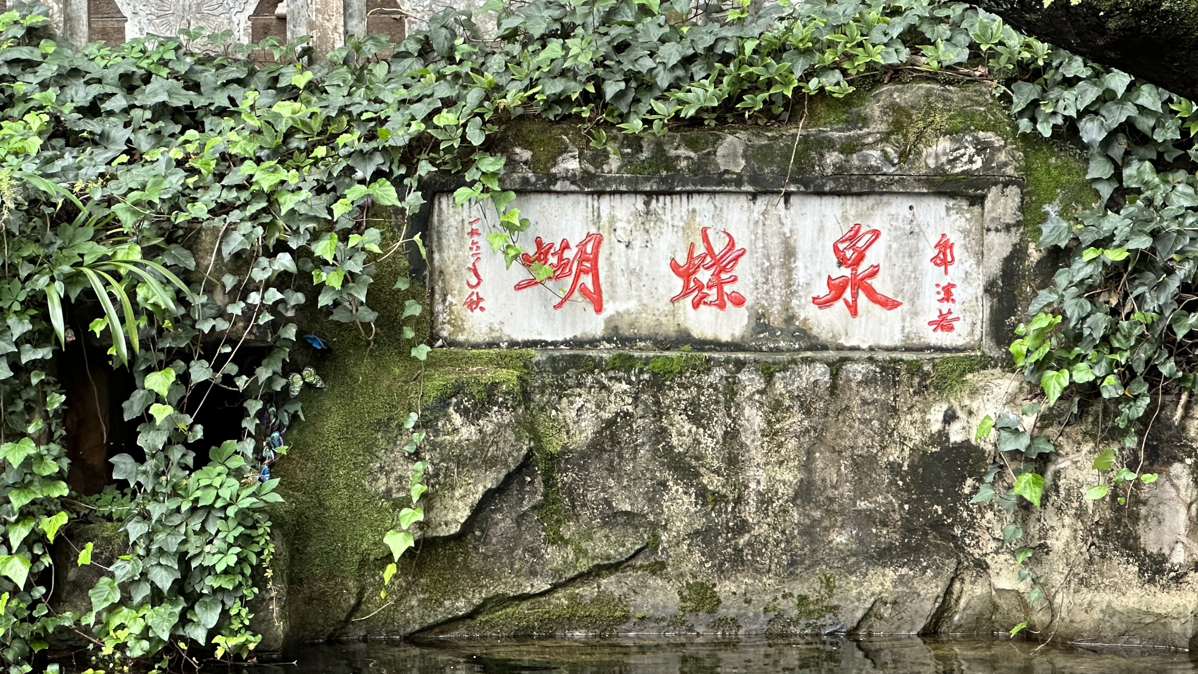 打卡千古佳话大理的蝴蝶泉太美啦!