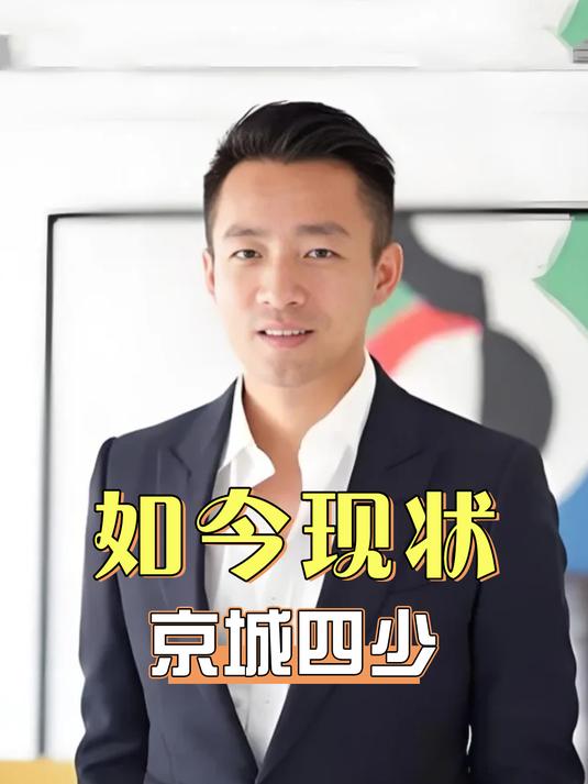 20年后再看京城四少,汪小菲二婚娶台妹,汪雨抛弃张敏后娶妻生子