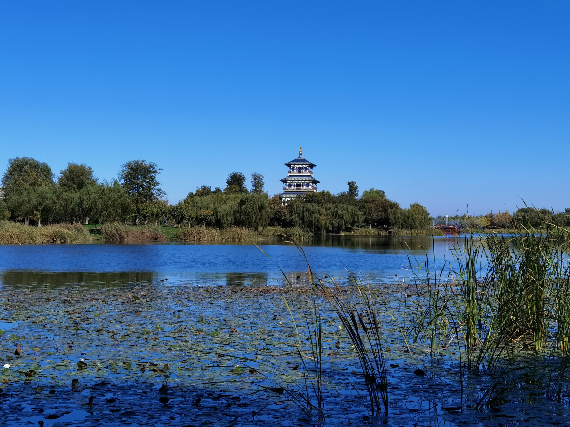 美丽的宁阳复圣文化园