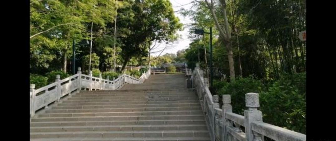 中山张家边公园,留恋以前谈情说爱的天堂