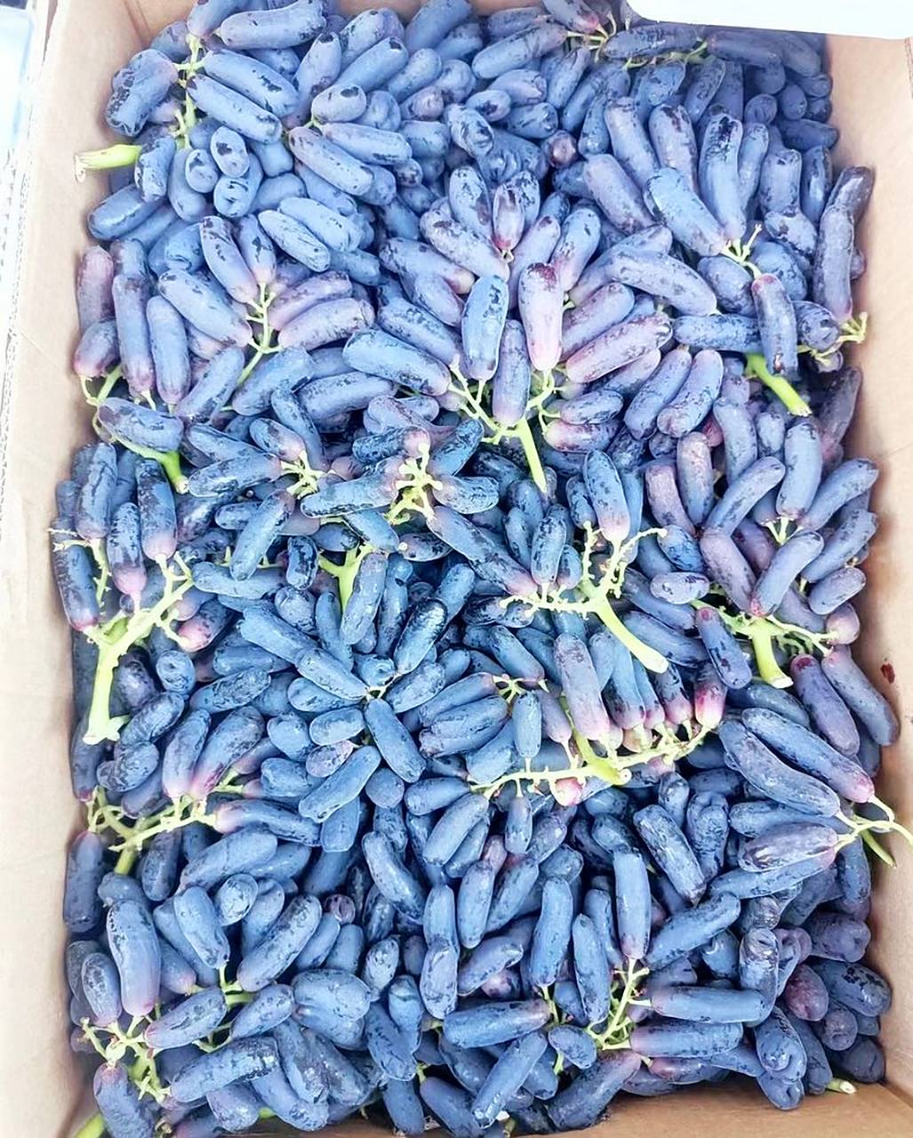 这三种水果,夏季很受欢迎:马奶子葡萄,水蜜桃,黄金蟠!