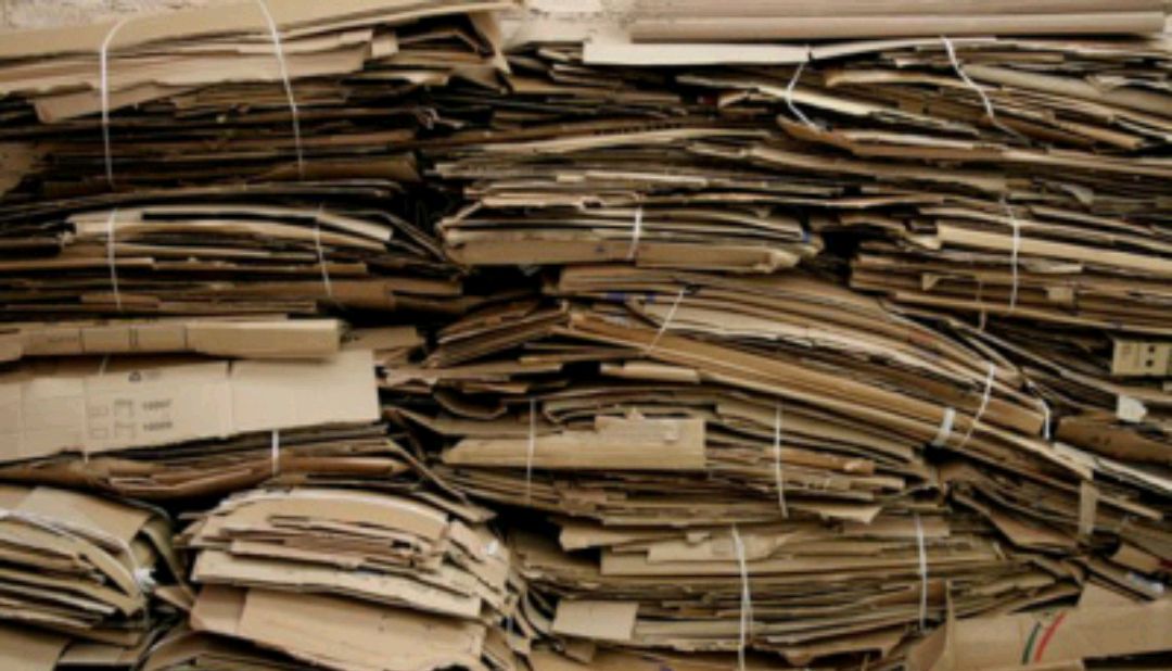 大爷上门买废纸壳,没想到老板这样做