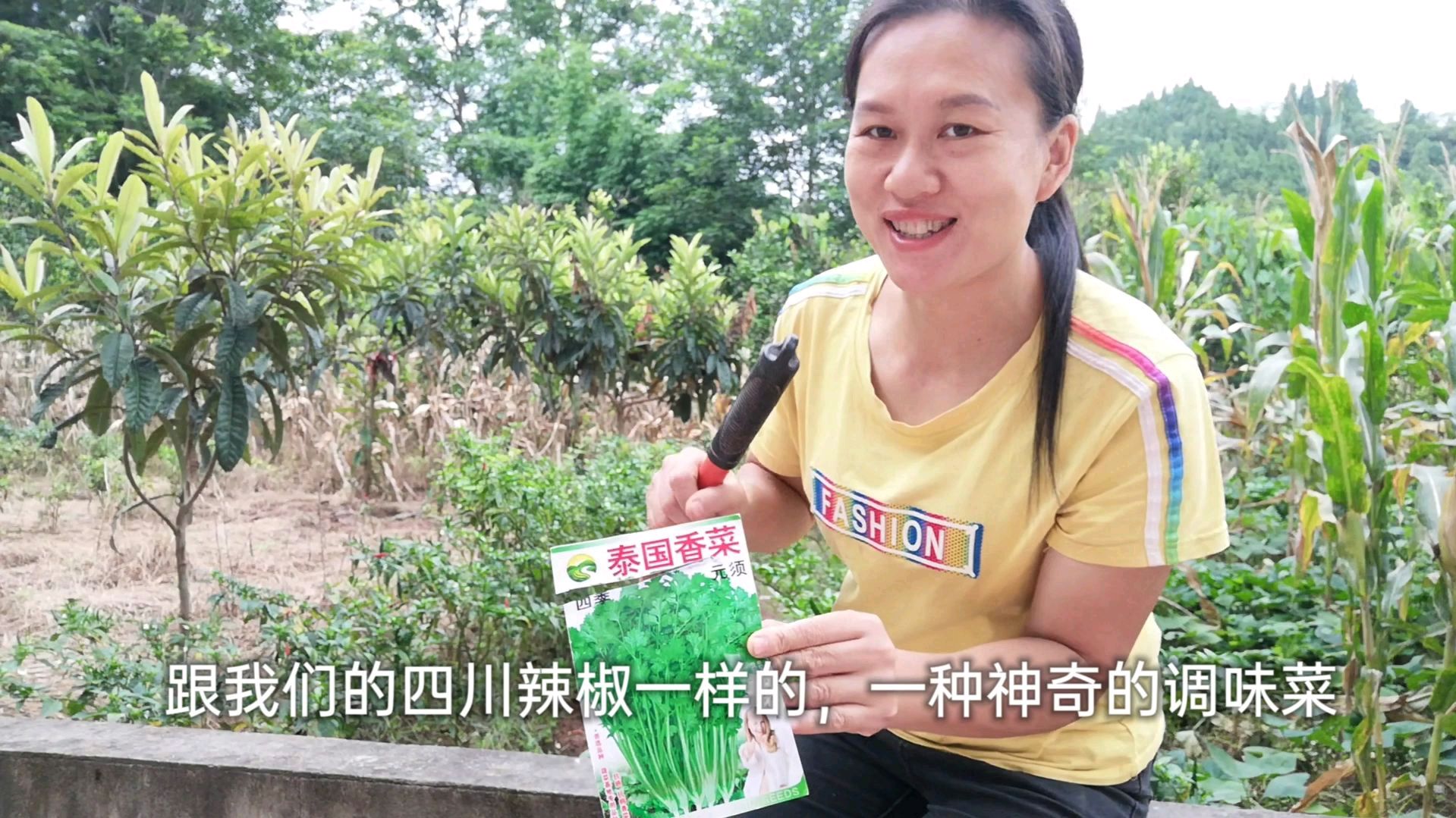 香菜出芽难,那是种植方法没用对,四川人家少不了的种香菜