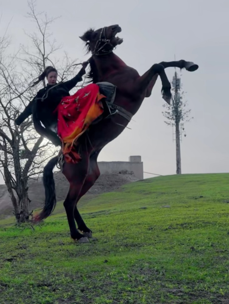 汉服# 穿上汉服,骑马飞奔,太飒了!