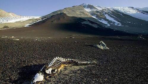 千年未解之谜:昆仑山死亡谷