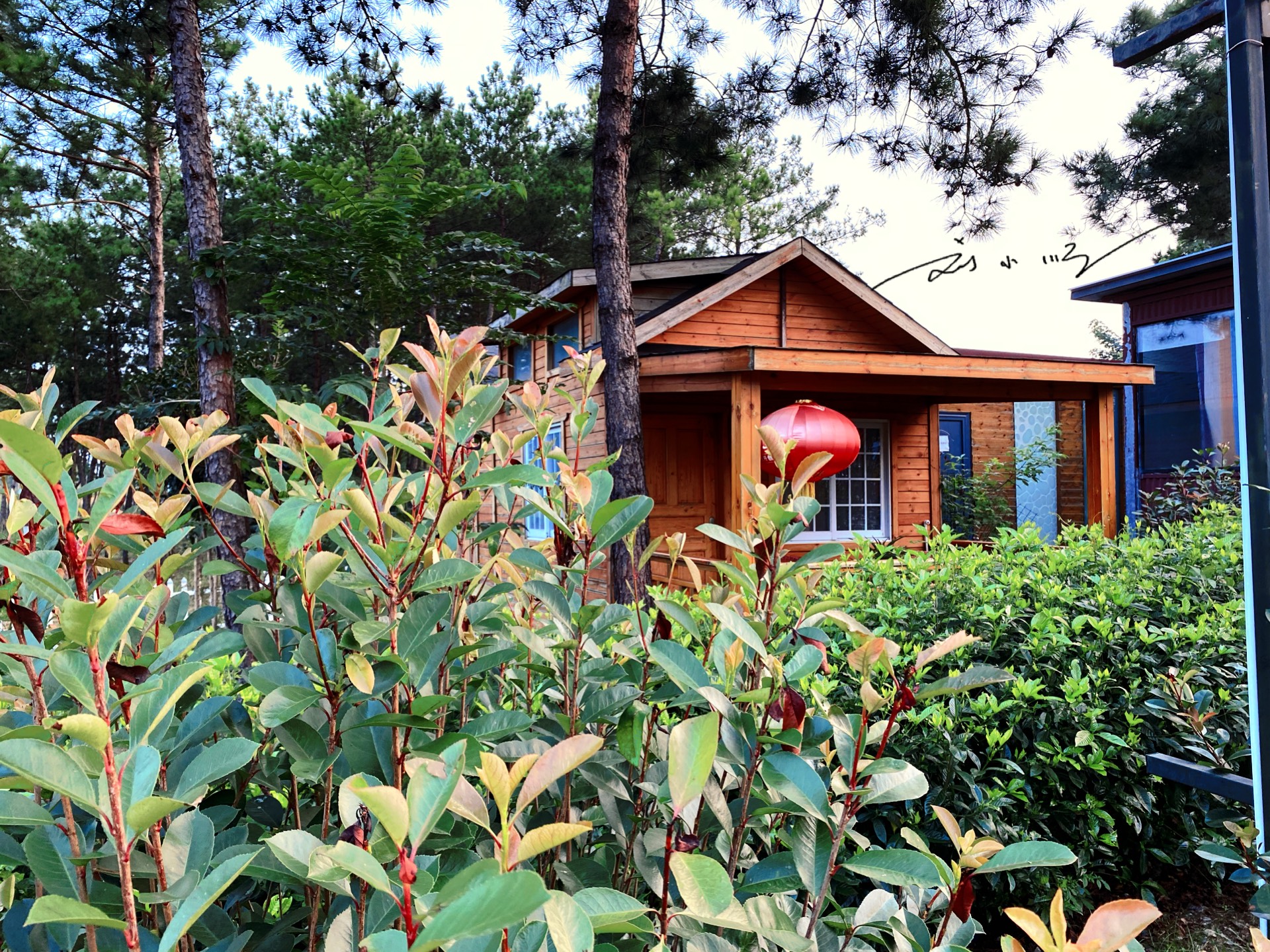 来安徽天柱山旅游,住进"天柱山露营地",享受野外生活的乐趣