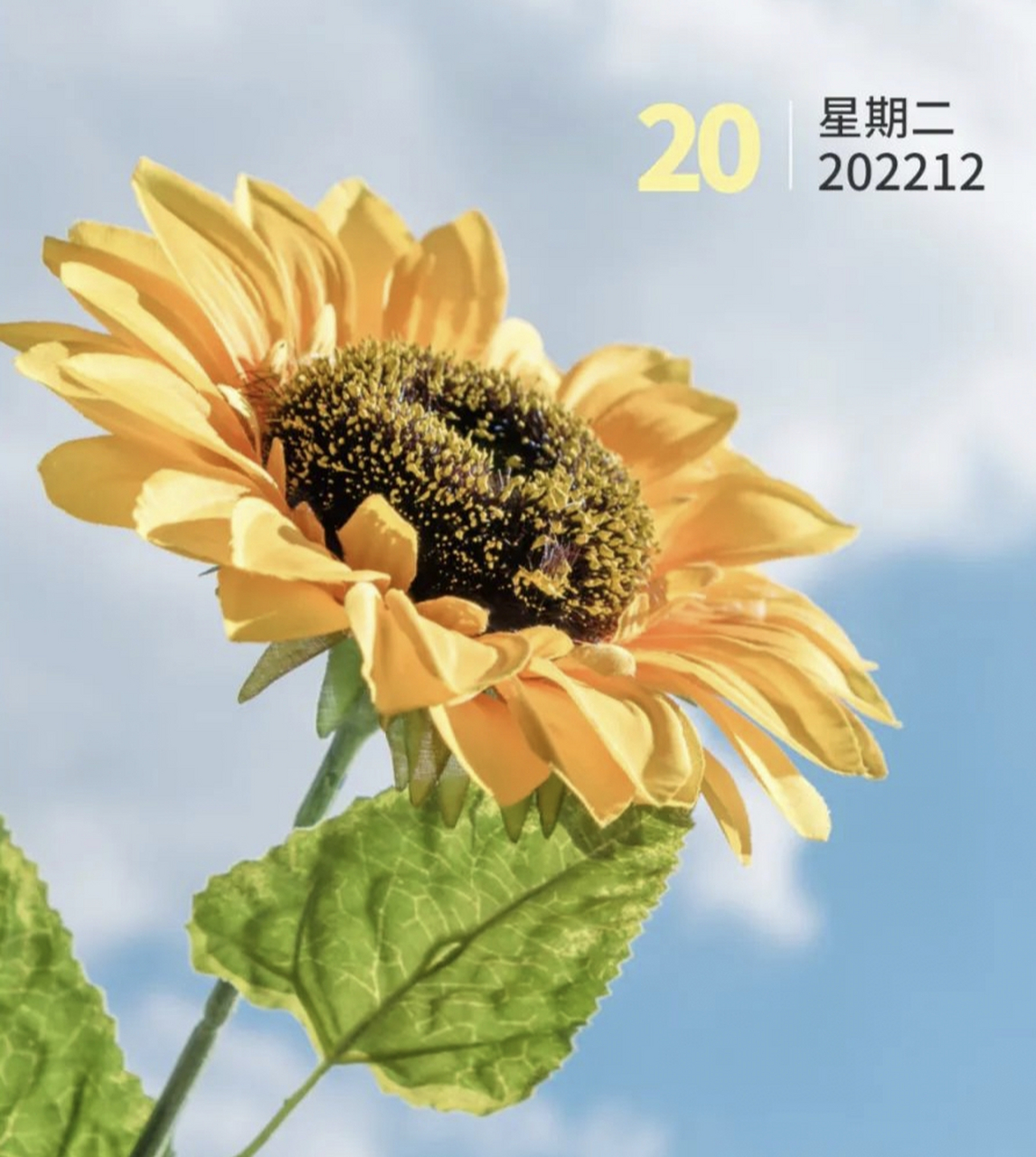 放下往事,放过自己,不与恶人缠斗,不与小人执仇.