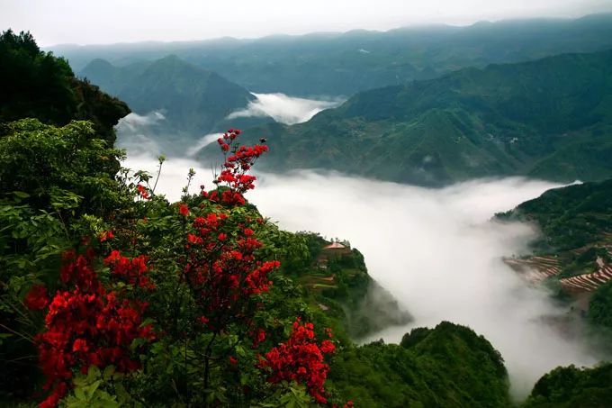 苏马荡美景图片