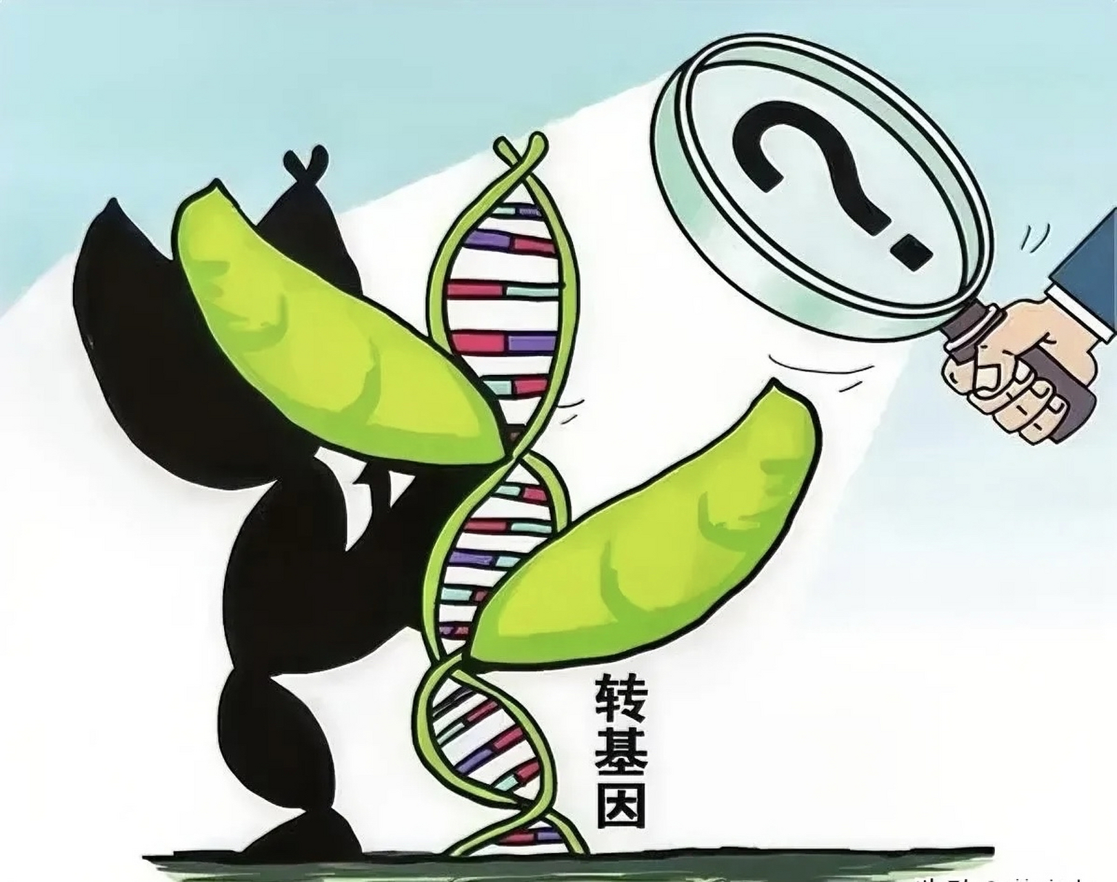 中国杭州亚运会禁止进口转基因食品,不给外国人吃转基因,欧洲大部分