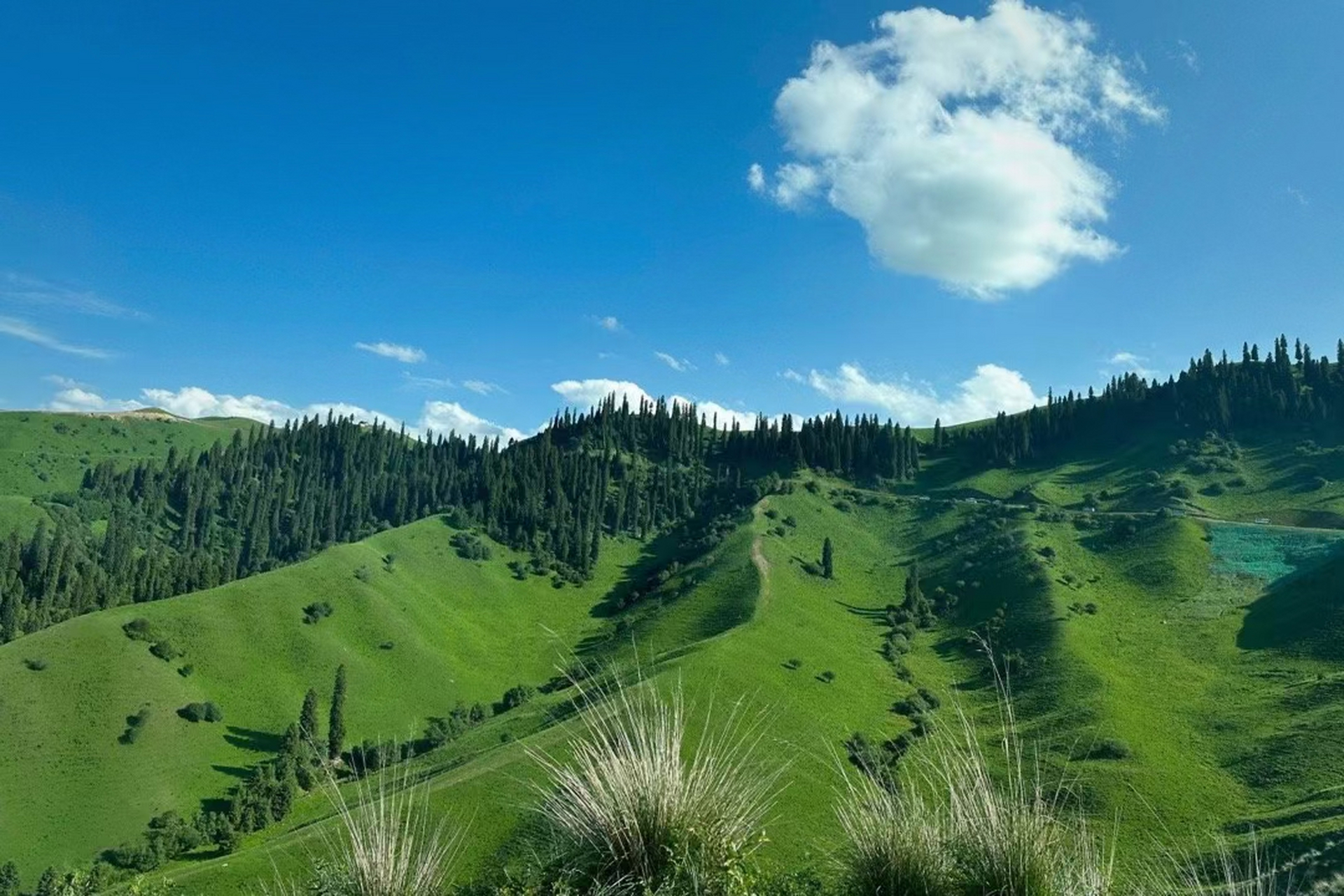 那拉提草原是 一个由草原,森林,河谷,山体组成的自然风景区,你置身于