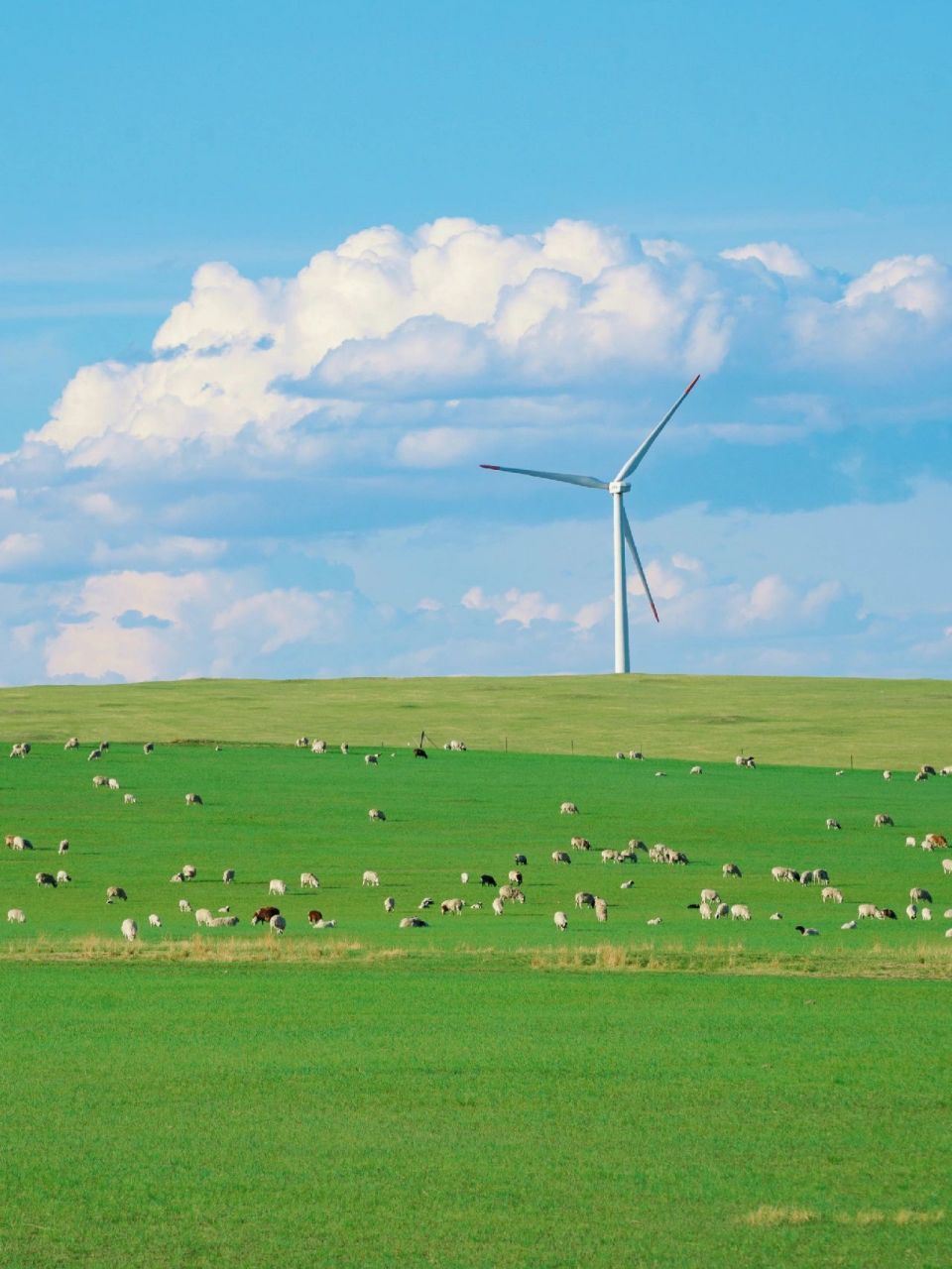 内蒙古,这个神秘美丽的地方,以其独特的草原风光,壮丽的自然景观和
