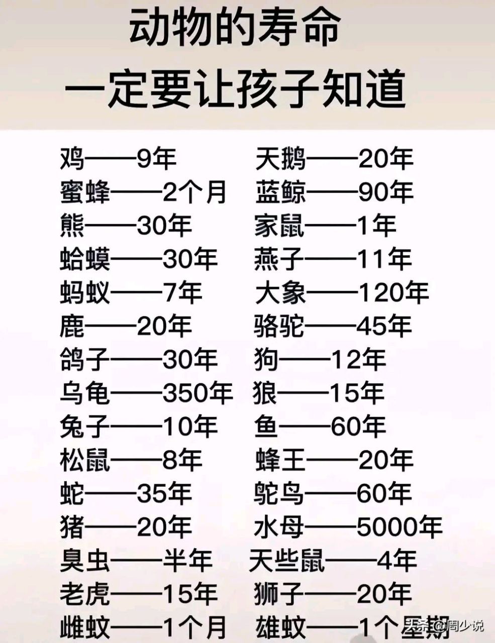 动物寿命100排名表图片图片