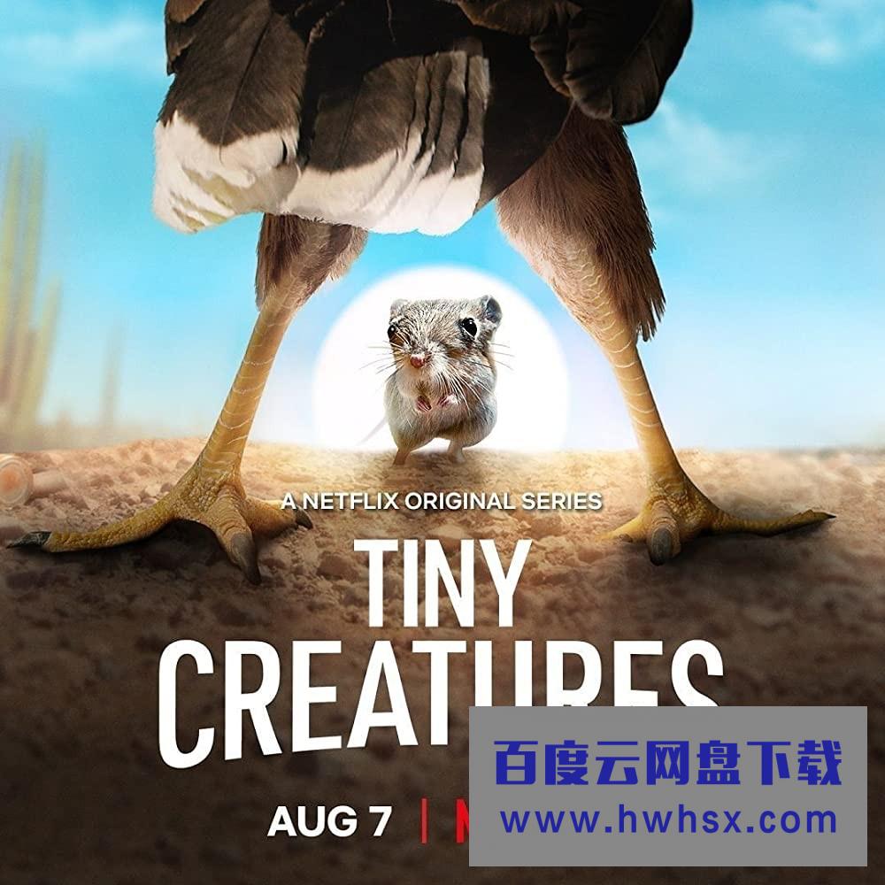 [微观世界 Tiny Creatures][全08集]4K|1080P高清百度网盘