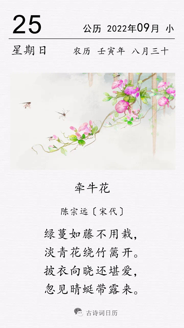 这是宋代诗人陈宗远的一首咏牵牛花诗.