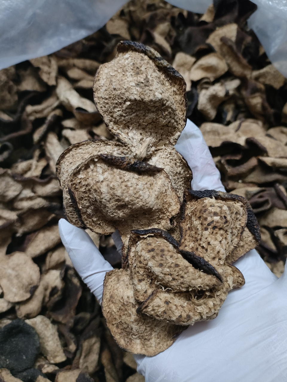 梅江塞口围 2006 十六年陈,质纯,质臻,品味臻甘仓新会老陈皮  一壶