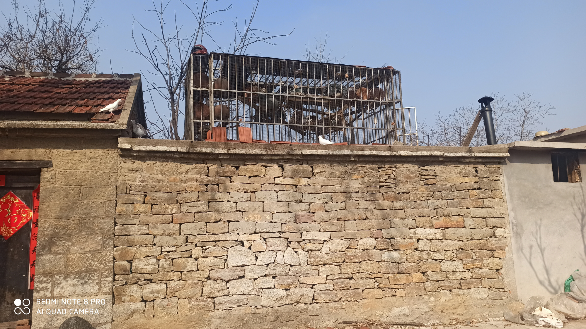 莱芜区牛泉镇圣井村的古井和老屋