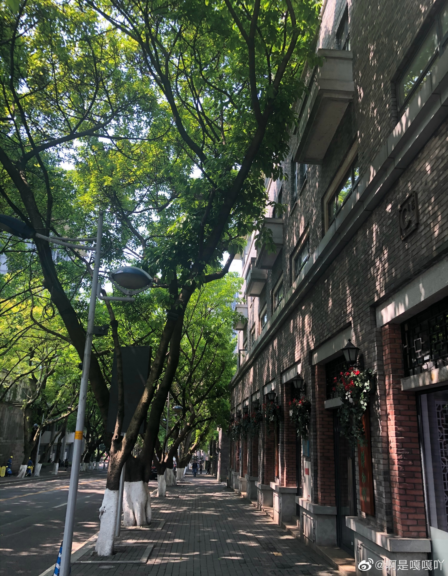 重庆之旅:在中山四路尽头寻一处静谧——曾家岩书院