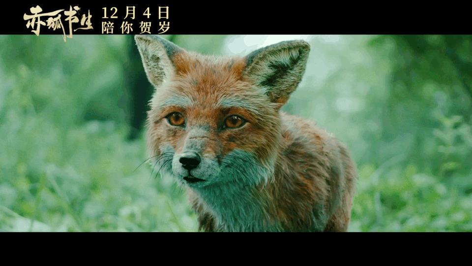 《赤狐书生》狐仙李现和书生陈立农定档,一人一狐浪漫冒险!