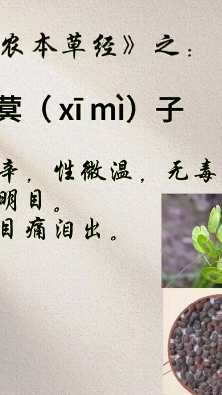 【菥蓂子的功效与作用】: 利尿,明目.