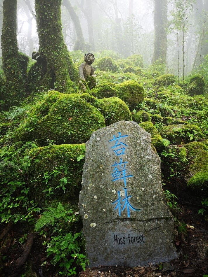 哀牢山石门峡景区介绍图片