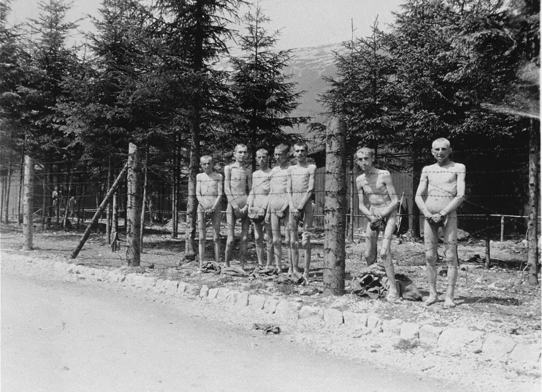 七个枯瘦如柴的集中营幸存者,赤身裸体地站在埃本西医院院落的铁丝网