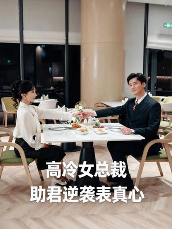 高冷女总裁，助君逆袭表真心