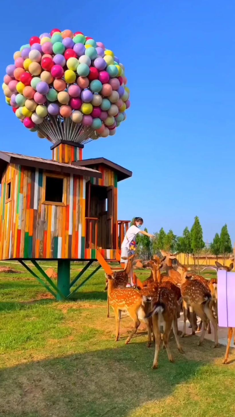 飞屋环游小屋童话照进现实气球小屋