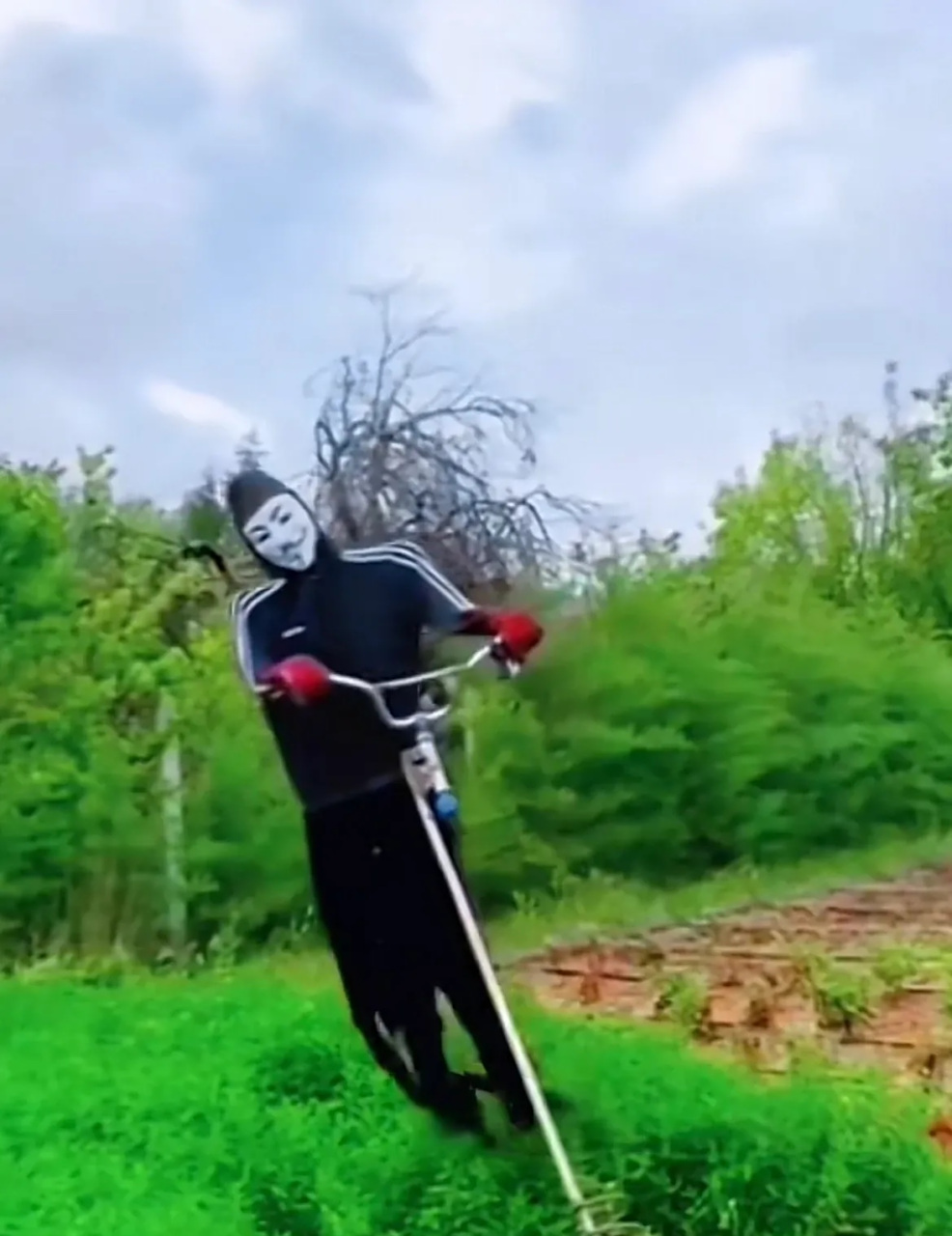 农民伯伯为了驱鸟自制了"恐怖稻草人" 网友:别说鸟了人都给赶走了.