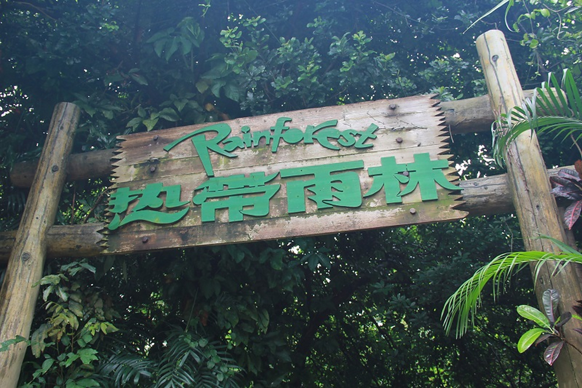 深圳南山青青世界--孩子说一点也不好玩  昨天带娃去了趟月亮湾那边的