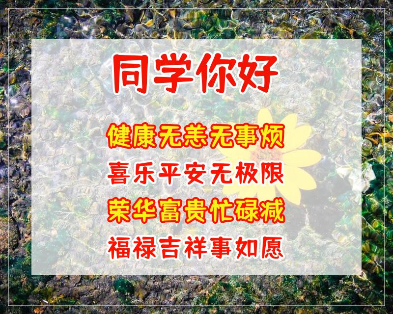 祝老同学身体健康图片图片