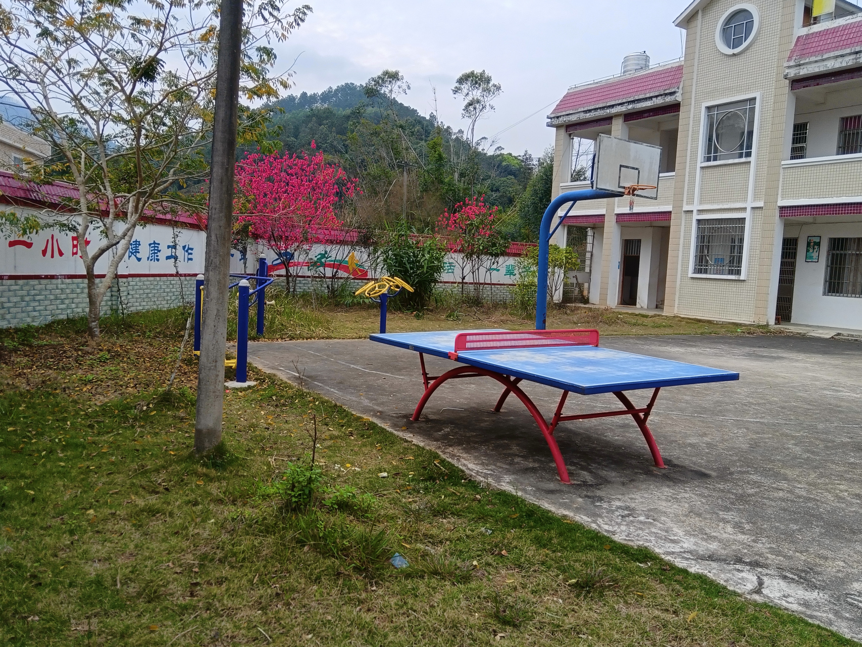 在广西北流市六麻镇的一个小山村,有一个地方很著名.