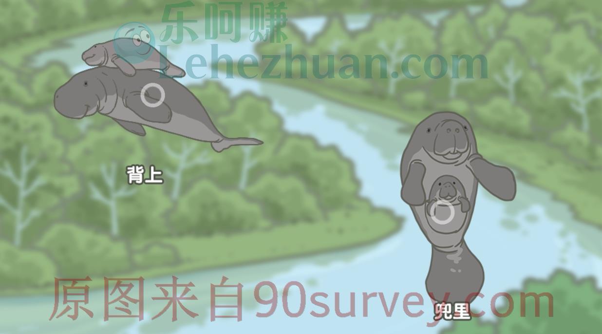 亚马孙海牛妈妈在游泳时,可能会把宝宝放在?答案:背上 亚马孙海牛妈妈在游泳时,可能会把宝宝放在?答案:背上