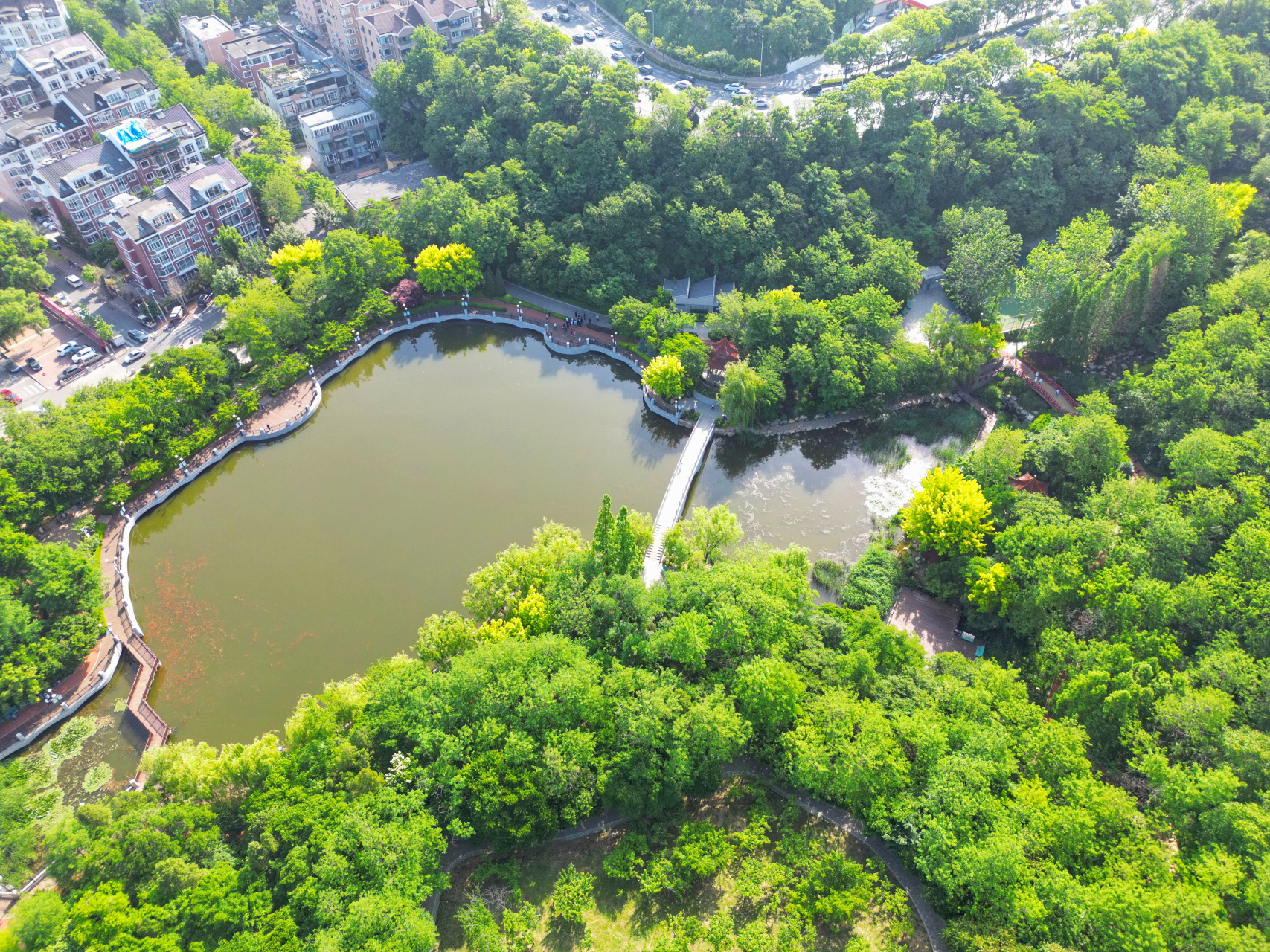 航拍初夏大连植物园,森林氧吧,避暑胜地,太好了,空气特别舒服#网红