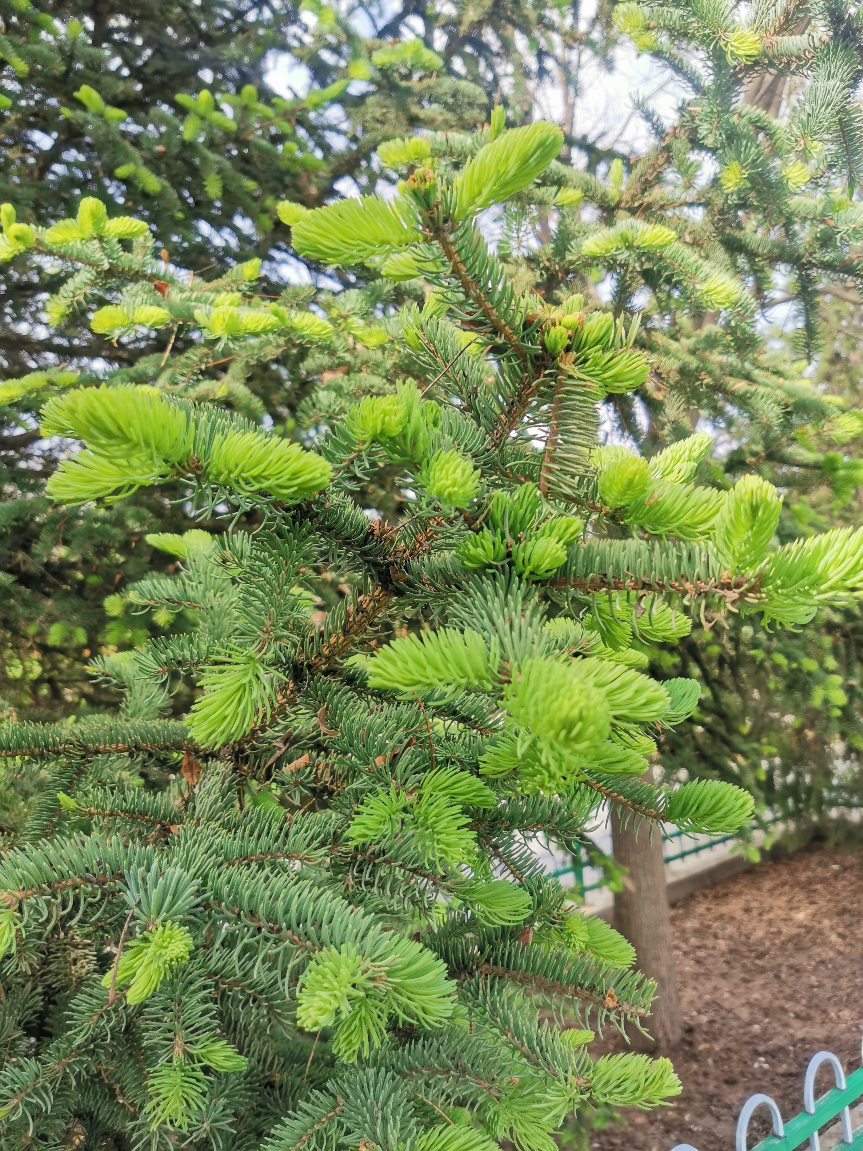 周末,请您愉快的过