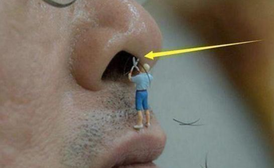 鼻毛旺盛说明了什么?一文讲清