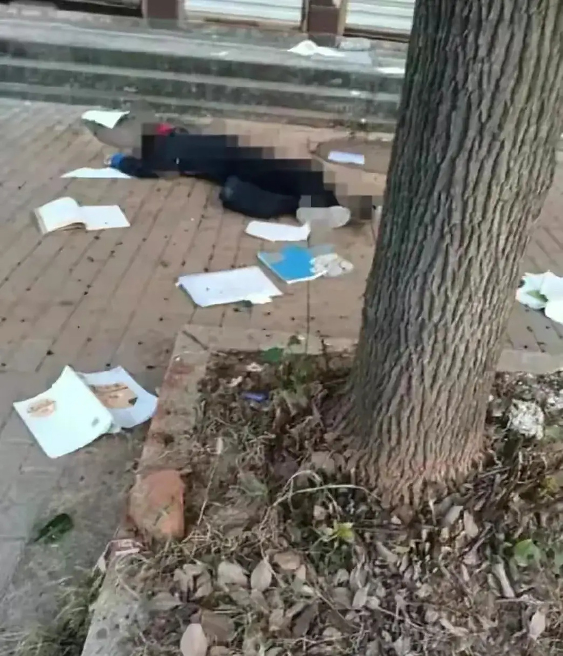 湖北襄阳一小学生跳楼身亡,家长质疑学校处理不当 近日,一起令人痛心