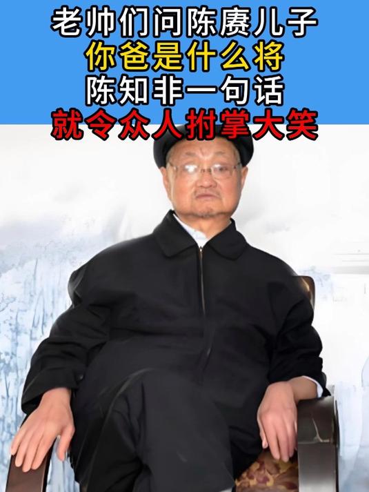 老帅们问陈赓儿子:你爸是什么将?陈知非一句话就令众人拊掌大笑