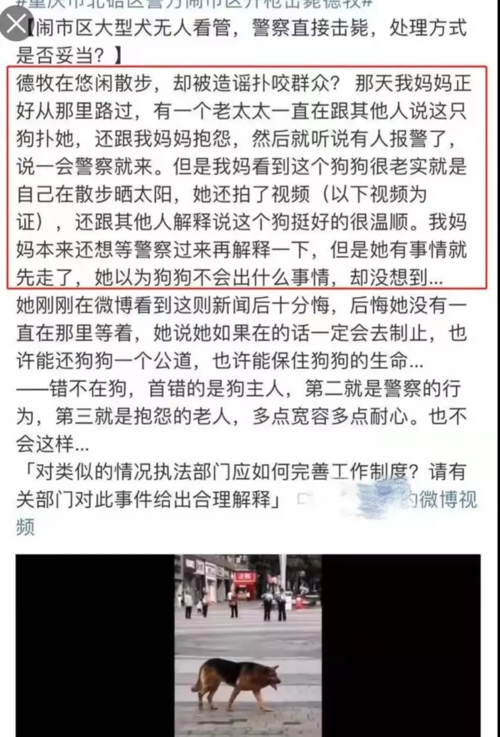 重庆北碚区,一派出所民警击毙德牧上热搜,系有人报假警