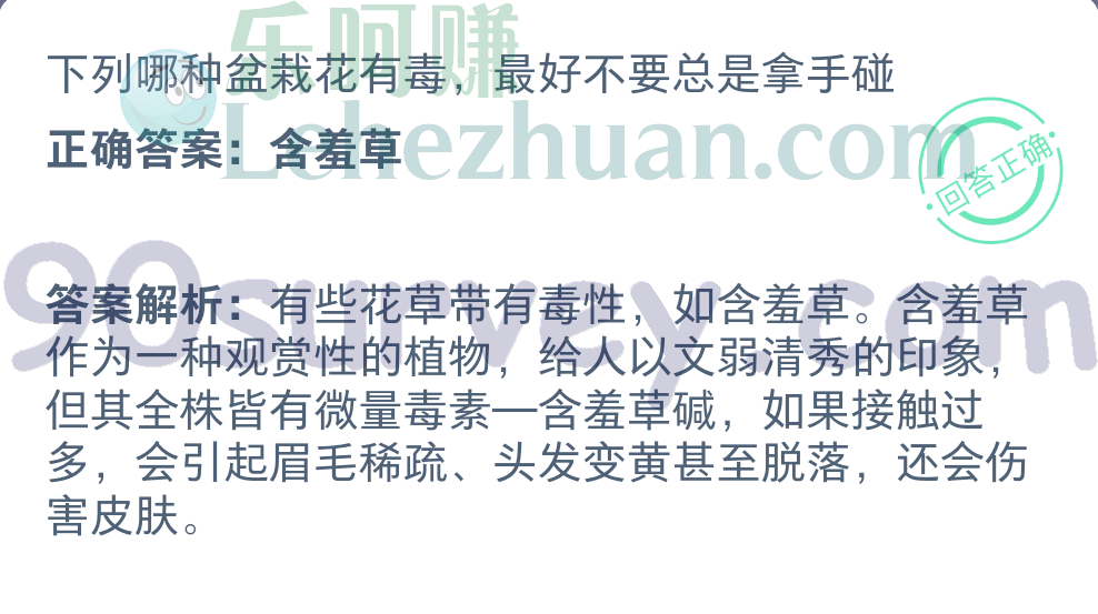 哪种盆栽花有毒最好不要总是拿手碰
